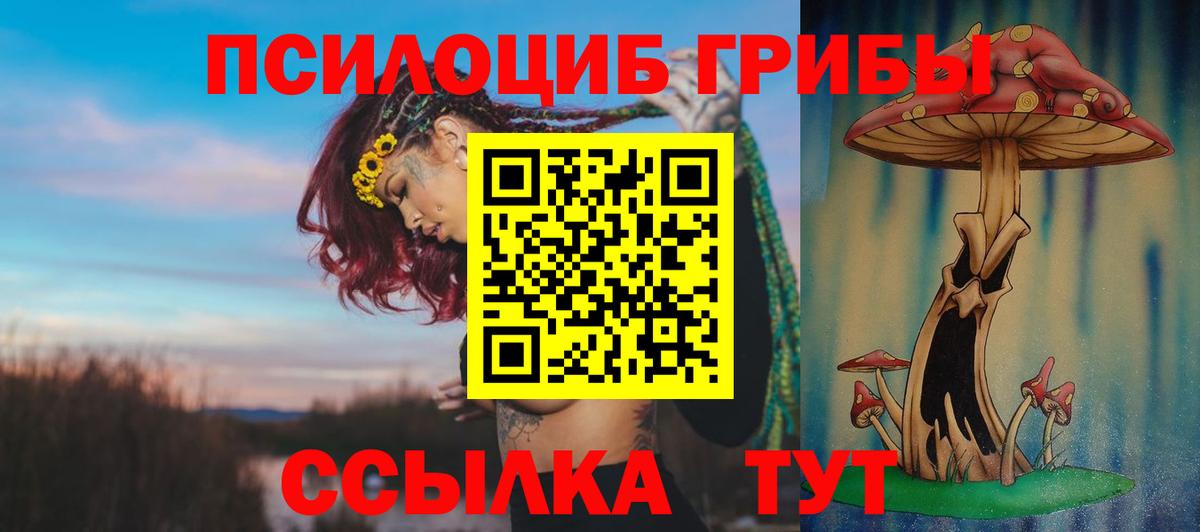 Псилоцибиновые грибы ЛСД Волжск
